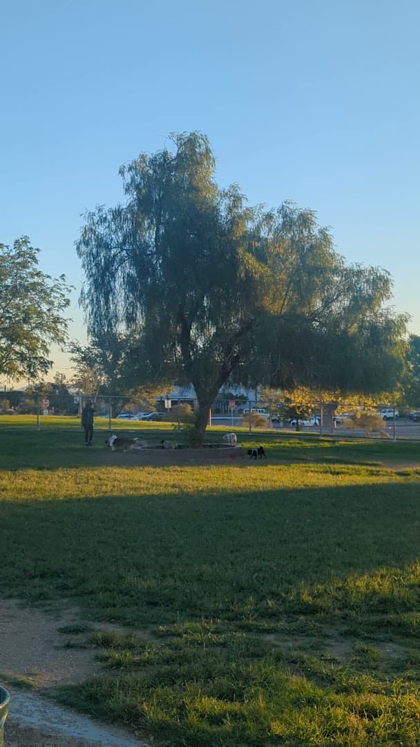 Desert Breeze Park - Image 2