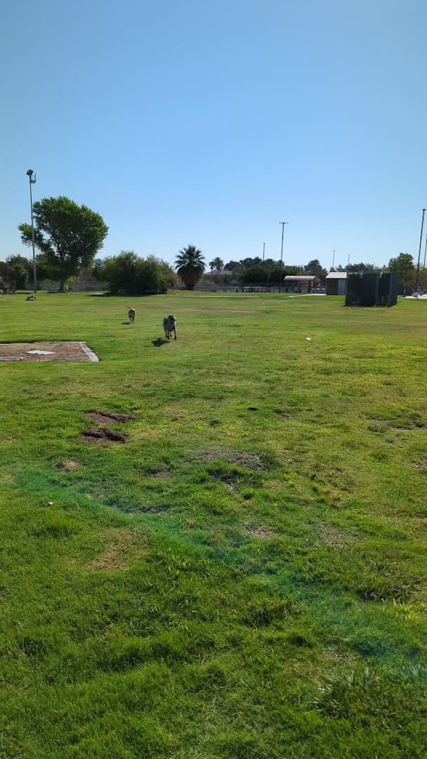 Sunset Dog Park - Image 1