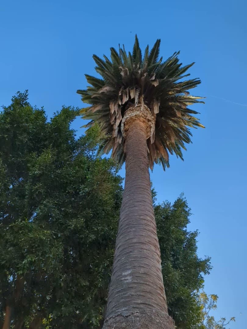 Pacific Street Park - Image 2