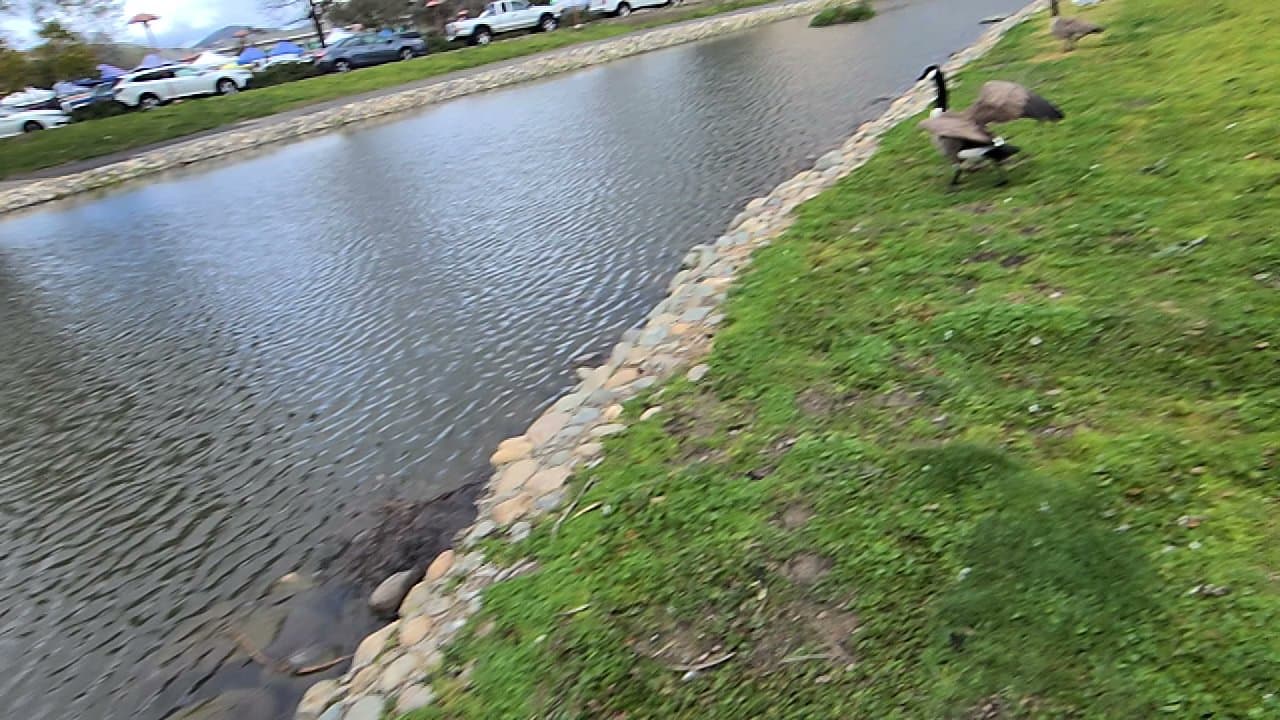 Lagoon Park - Image 2