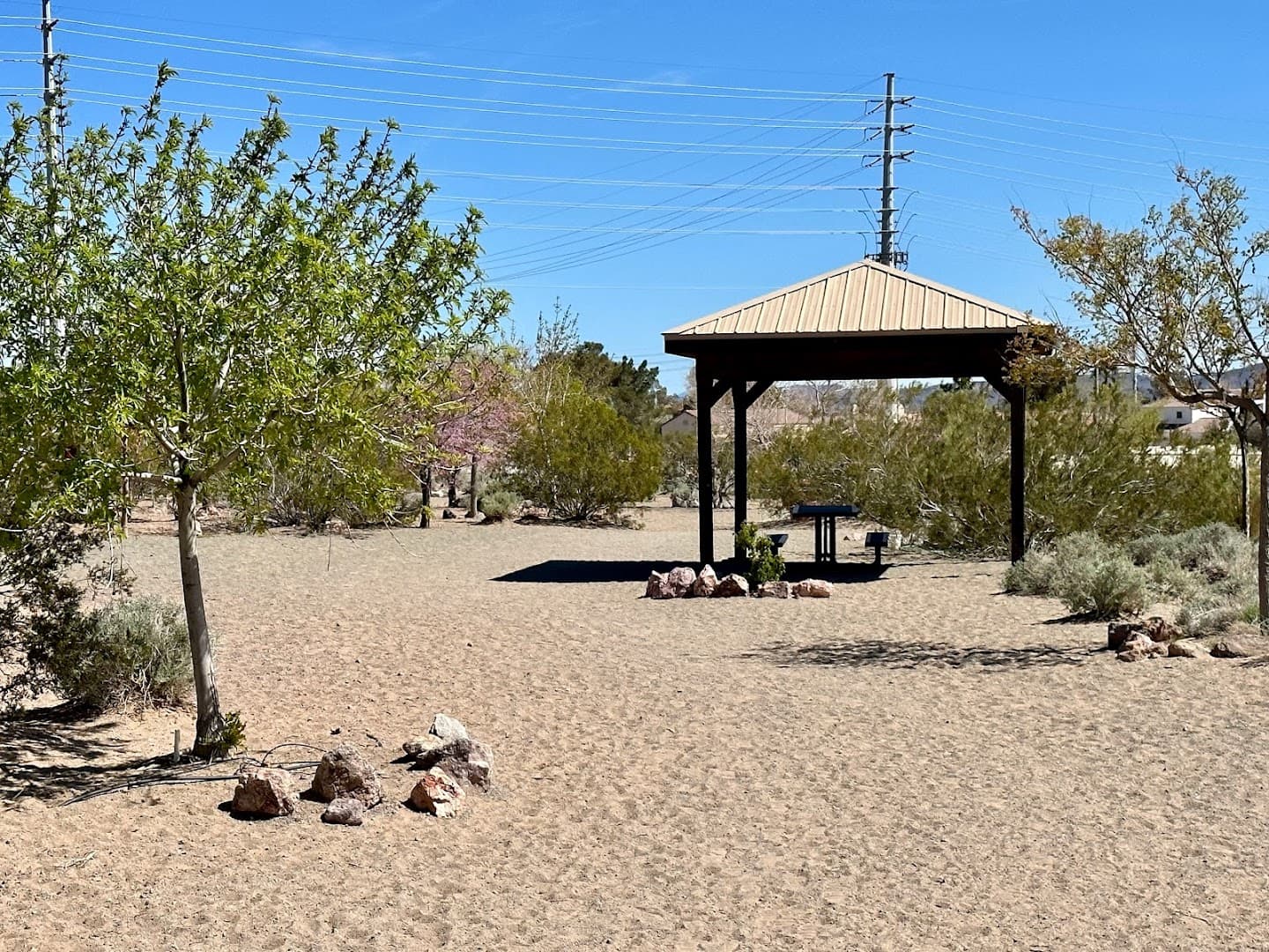 See Spot Run - Image 1