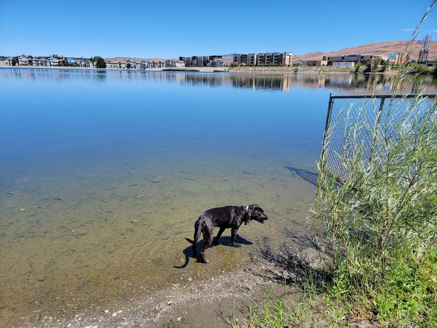 Sparks Marina Dog Park - Image 1
