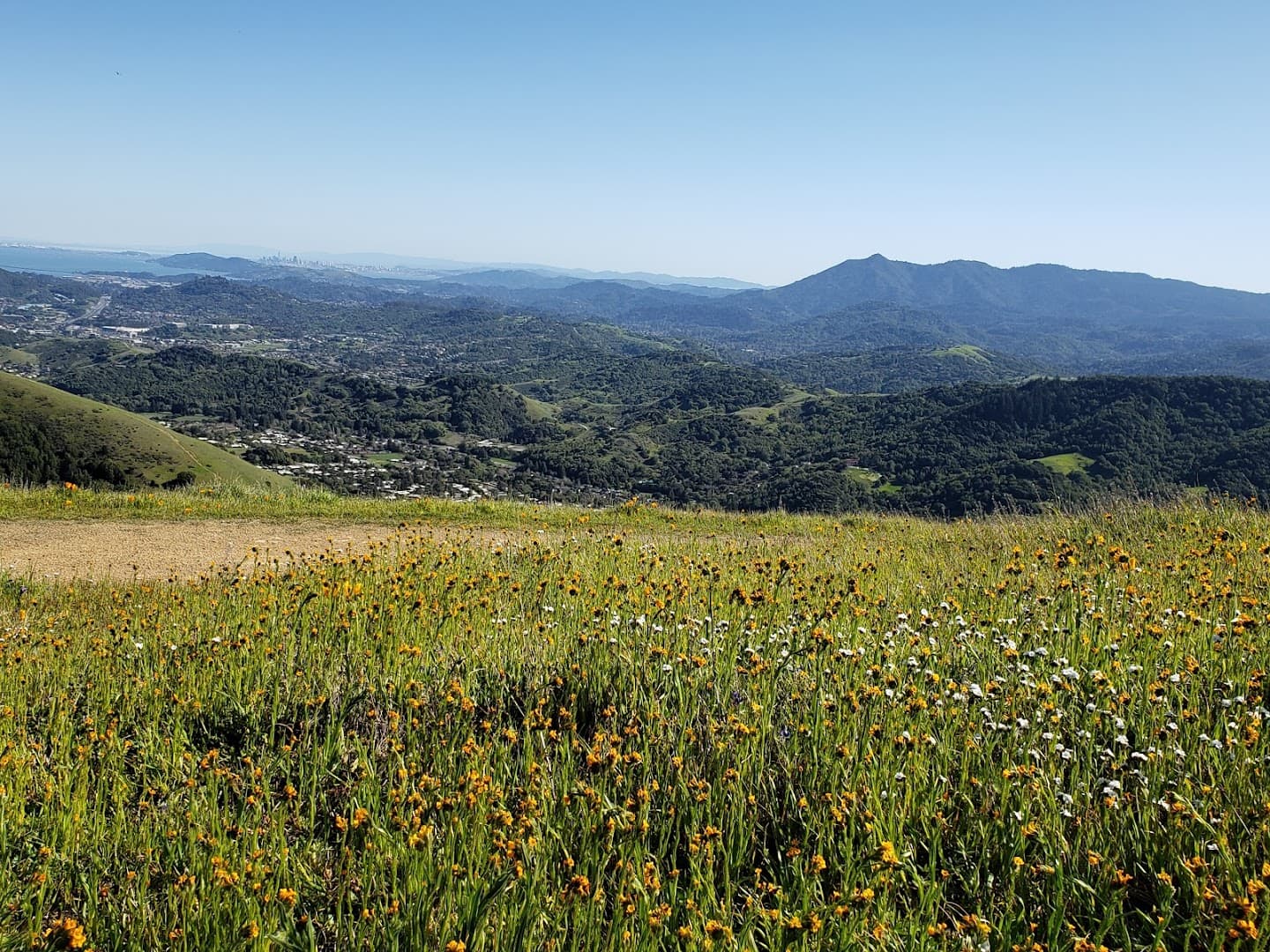 Lucas Valley Preserve - Image 1