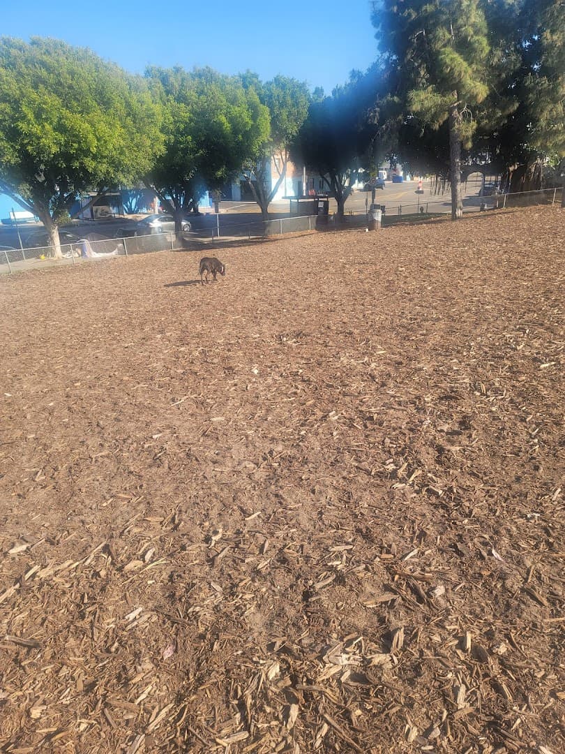 Westminster Dog Park - Image 1