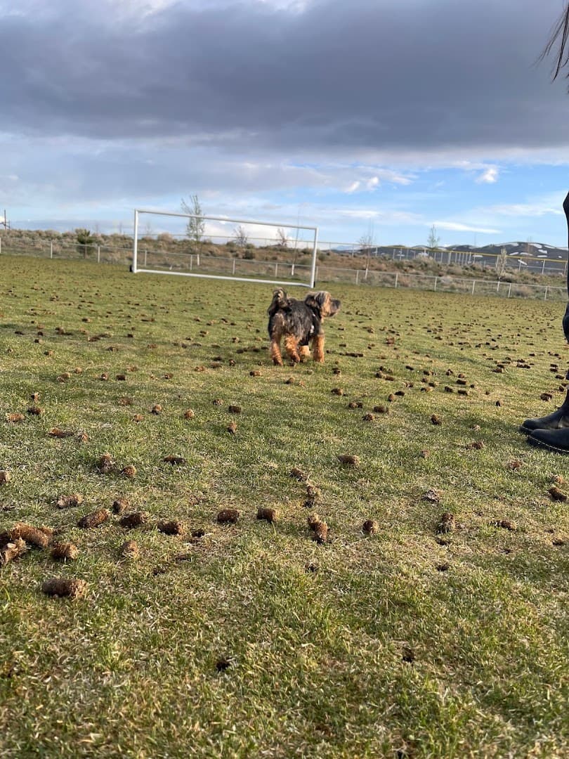 North Valleys Off Leash Dog Field - Image 1