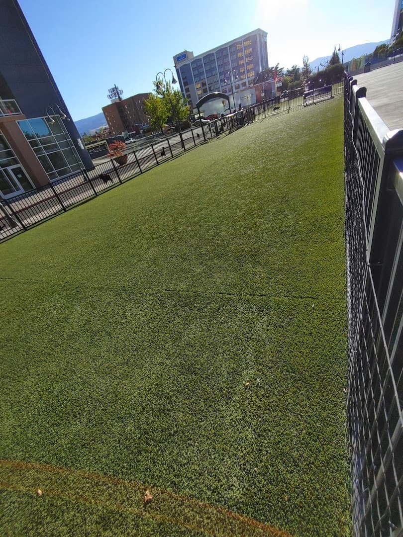 Biggest Little Dog Park